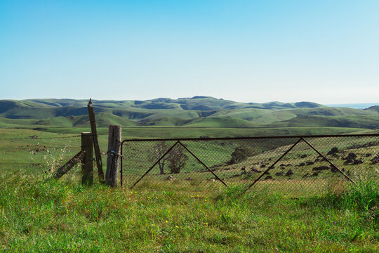 Farm gate with padlock and rolling green hills