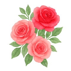 Fototapeta premium Vintage Botanical Illustration of Rose