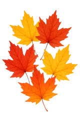 Fototapeta premium Golden Maple Leaves Illustration for Print Design