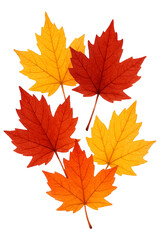 Realistic Red Maple Leaves PNG Transparent