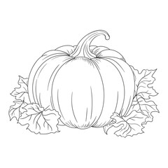 Black and white hand-drawn pumpkin lineart. Ideal for Halloween, Thanksgiving, and fall-themed vector design or print materials.