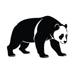 Fototapeta premium Black and white silhouette of a walking panda