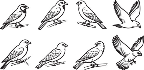 Ten Hand-Drawn Avian Silhouettes Perched and Flying – Line Art Vector Set