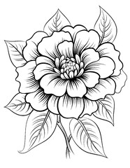 Black and white color pages for kids