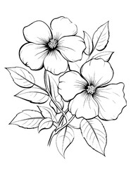 Black and white color pages for&nbsp;kids