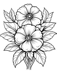 Black and white color pages for&nbsp;kids