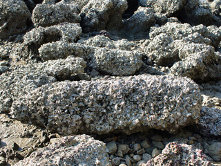 Rough rocky surface on the beach
