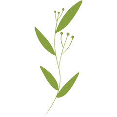 vector illustration of an abstract flower