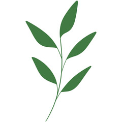 vector illustration of an abstract leaf