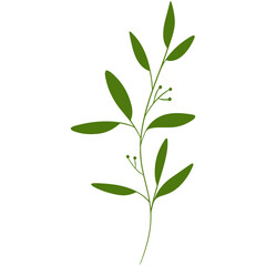 vector illustration of an abstract flower