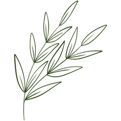 vector illustration of an abstract leaf