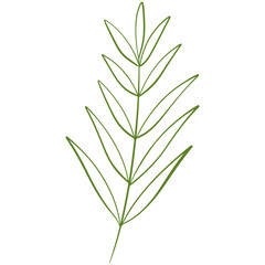 vector illustration of an abstract leaf