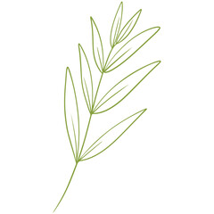 vector illustration of an abstract leaf