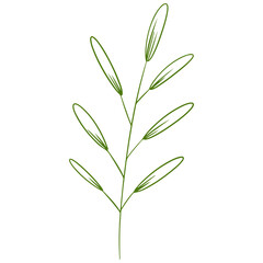 vector illustration of an abstract leaf