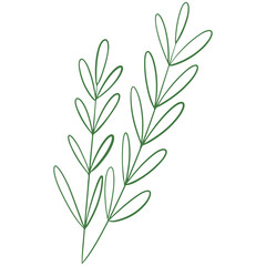 vector illustration of an abstract leaf