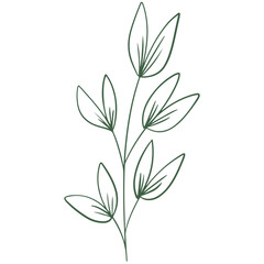 vector illustration of an abstract leaf