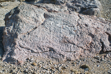 Rough rocky surface on the beach
