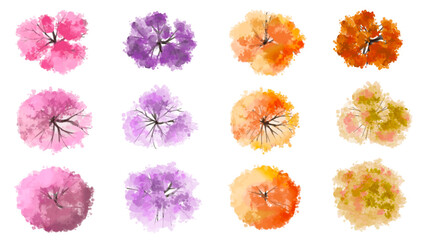 Vertor set of spring blossom tree,bloomimg plants top view for landscape plan,schematic layout,eco environment concept design,watercolor sakura illustration