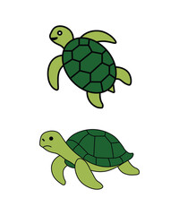 Cartoon Sea Turtle Duo Illustration