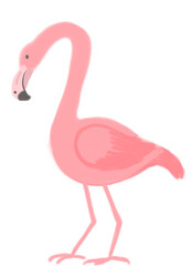 A cartoon flamingo standing, bright colors, transparent background, charming and playful illustration.
