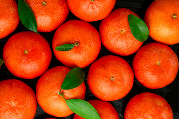 Clementine, traditional winter fruit rich in vitamin C.