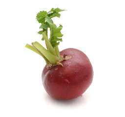 Bunch of red radish,Close-up of radish over white background,Moldova