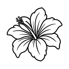 Tropical hibiscus flower blooming Line Art Vector illustration © Crazy Dreamy Boy