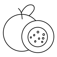  fruit line vector