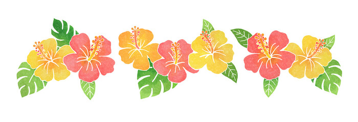 ハイビスカスの花 © みかのなつみ