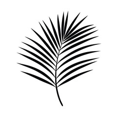 Obraz premium Palm leaf shadow casting elegant shape Line Art Vector illustration