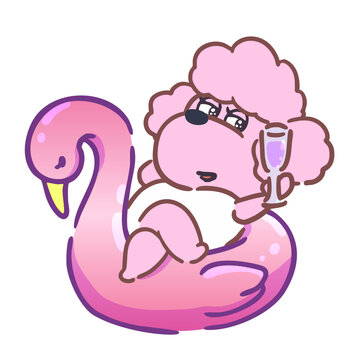 poodle_01