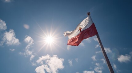 National flag flying high against sunlight and clear sky