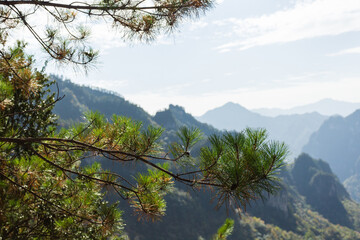 Karst mountain landscape, mountains and forests