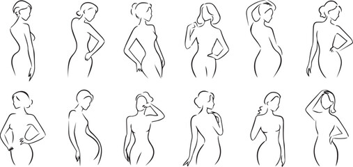 Elegant line art drawings of women's bodies eps-10