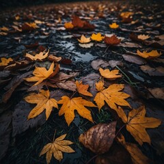 autumn leaves on the water