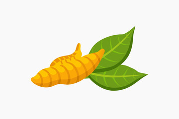 Turmeric design