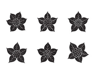 blackberry flower icon with five delicate petals