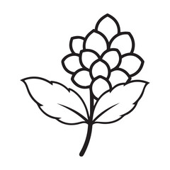 Obraz premium a litchi tree flower icon with small white crust