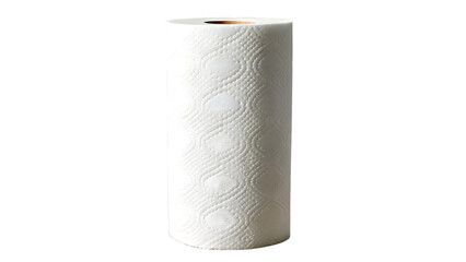 White Paper Towel Roll Isolated