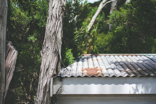 Building with corrugated iron roof and trees in the background