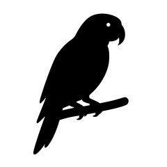 Fototapeta premium bird vector on a branch,black and white parrot,vector illustration of a bird
