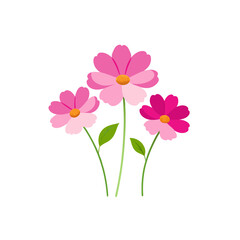 cosmos on white background  .svg