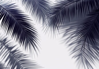 Palm leaves casting shadows on a light background