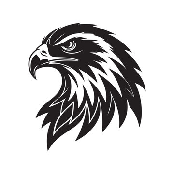 hawk vector silhouette clip art logo design illustration