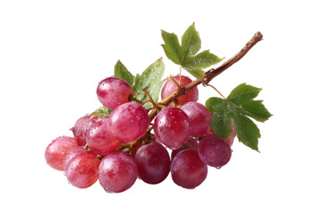 Fototapeta premium [Transparent Background PNG]Fresh Red Grapes Cluster Close-up