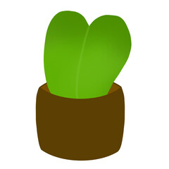 plant pot