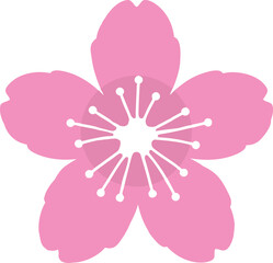 Elegant Cherry blossom illustrations for spring designs. Delicate cherry flower elements for creative floral projects.