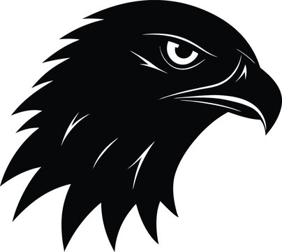 eagle head vector illustration