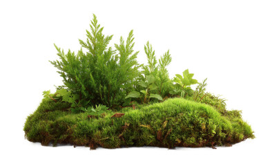 [Transparent Background PNG]Green Moss Island with Various Plants