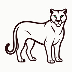 Cougar on white background 